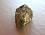 Picture of Actinolite