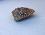 Picture of Andradite