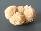 Picture of Desert Rose