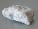 Picture of Halite