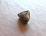 Picture of Iolite