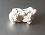 Picture of Magnesite