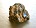 Picture of Molybdenite