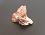 Picture of Muscovite