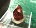 Picture of Zircon